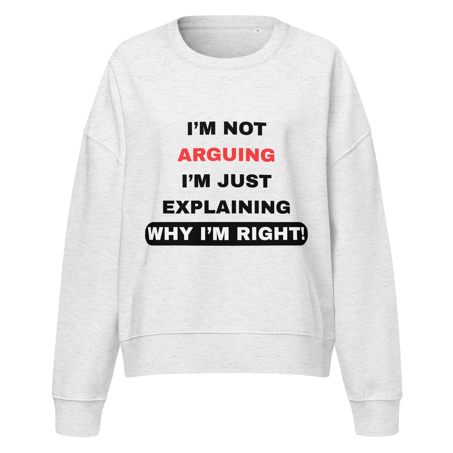 I Am Not Arguing I Am Explaining Women's Grey Jumper
