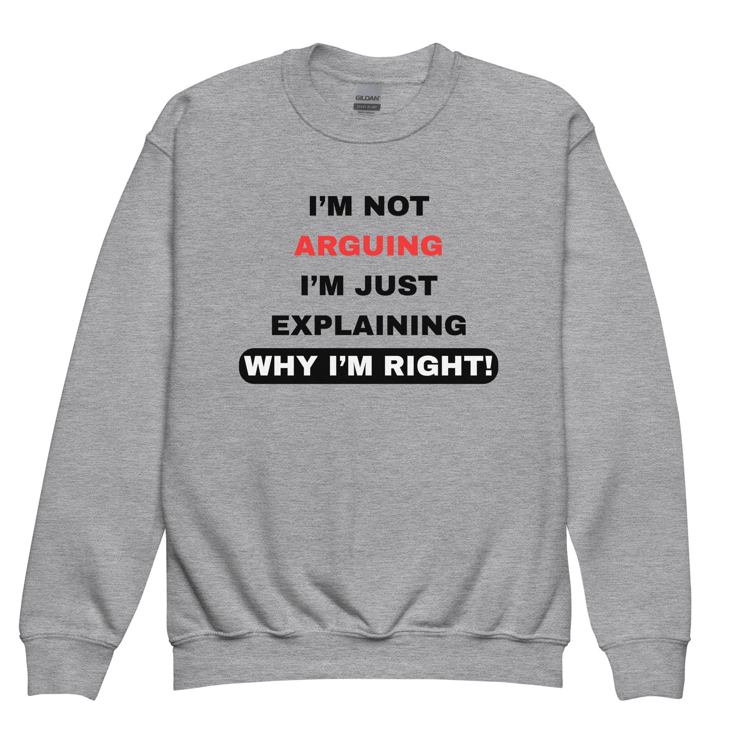 I'm Not Arguing I Am Explaining Kids Grey Jumper