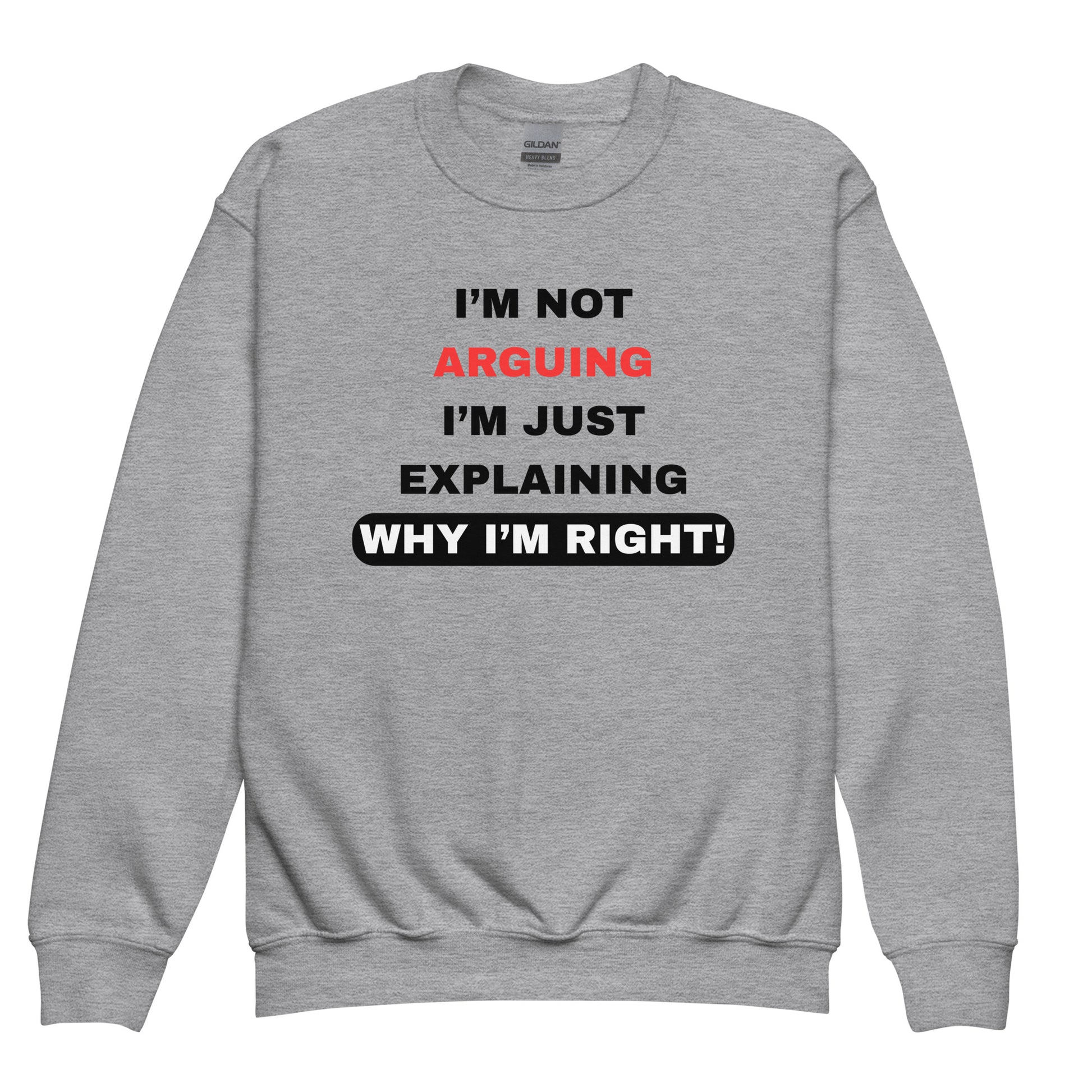 I'm Not Arguing I Am Explaining Kids Grey Jumper