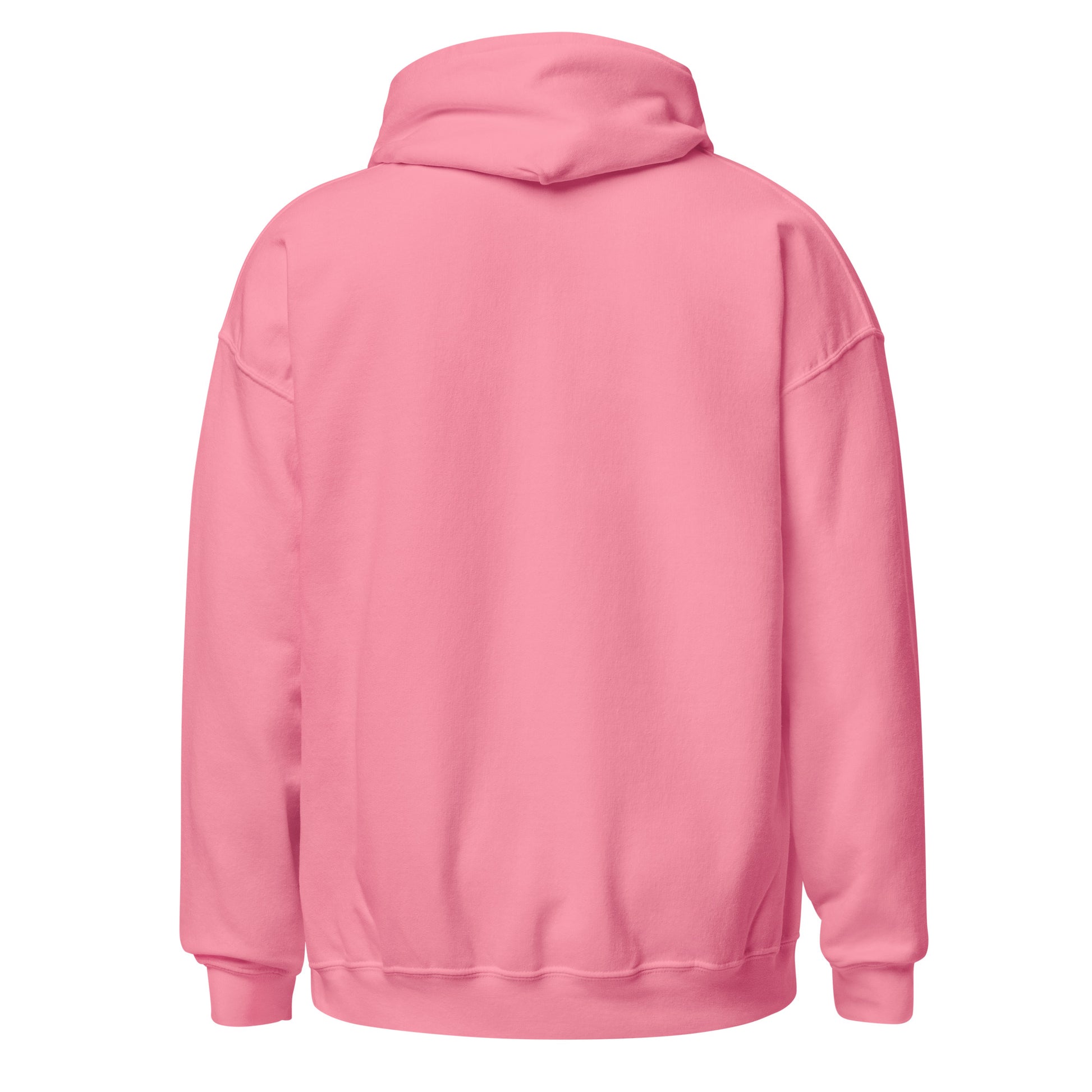 Back of Women's Pink It's Wine Time Hoodie