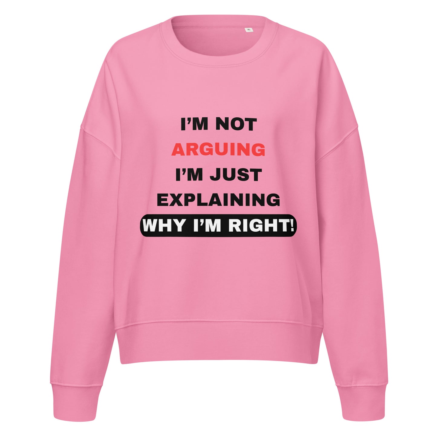 Women's I Am Not Arguing I Am Just Explaining Pink Jumper
